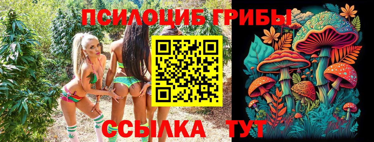 Галлюциногенные грибы прущие грибы Знаменск
