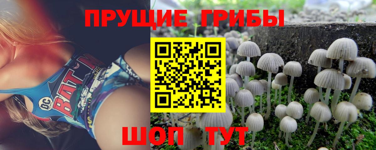 Знаменск  Галлюциногенные грибы мухоморы  Псилоцибиновые грибы Psilocybine cubensis  Вход с VPN 